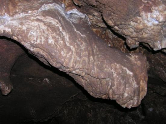 Anthony旅游攻略图片