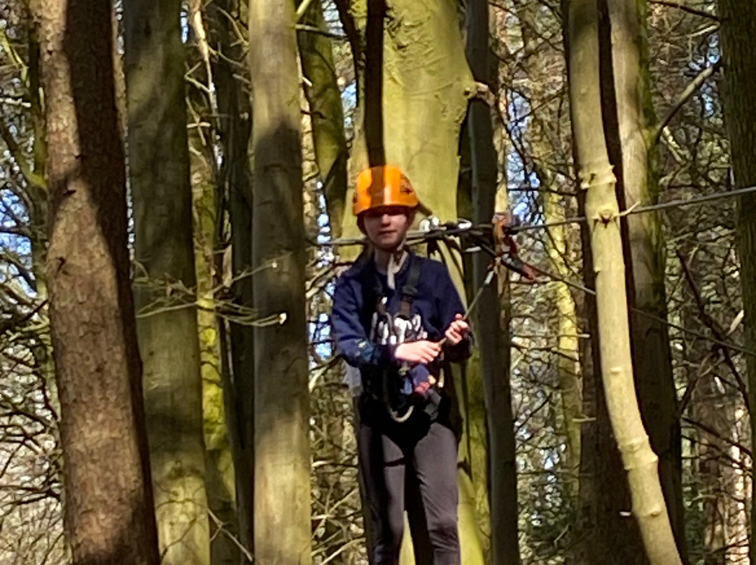 Craufurdland Tree Top Trials and Activities景点图片