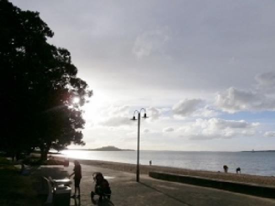 St. Helier's Bay-奥克兰中心地区必去景点