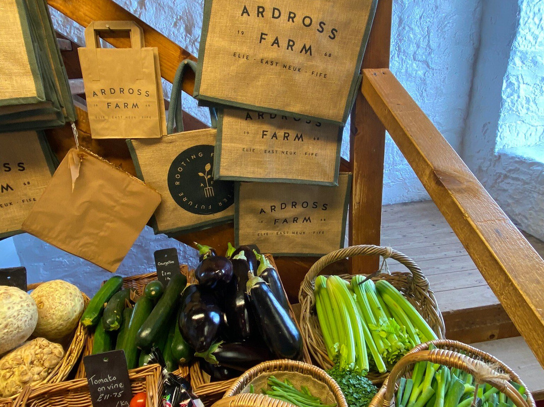 Ardross Farm-Elie必去景点