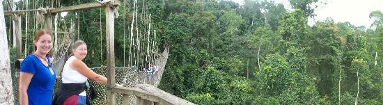 Kakum National Park-Cape Coast必去景点