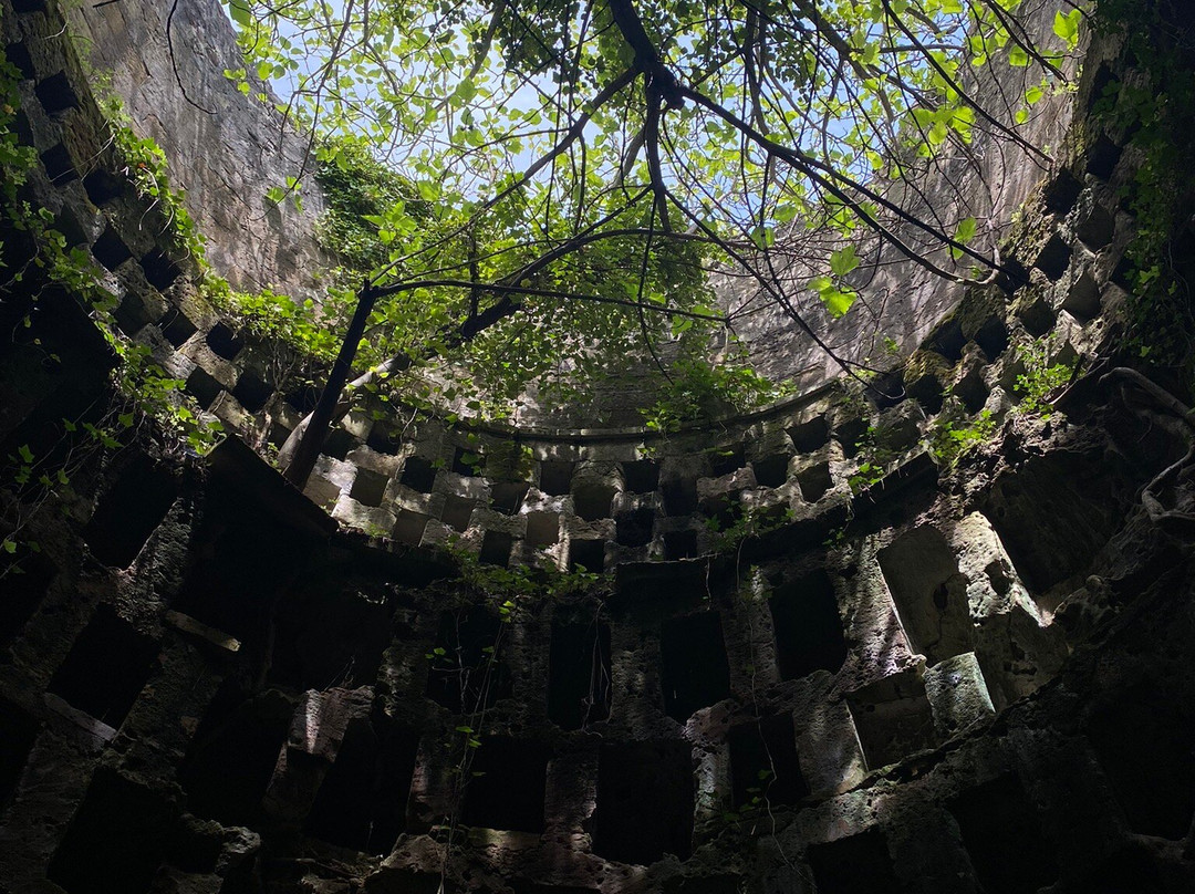 Ipogeo Di Torre Pinta景点图片