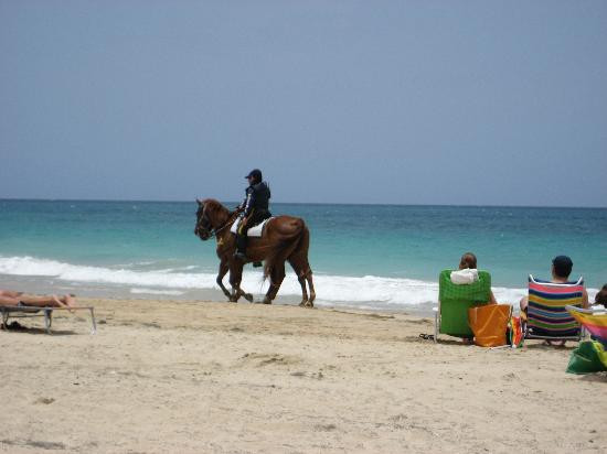 Playa Ocean Park景点图片