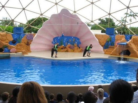 迈阿密水族馆-迈阿密必去景点