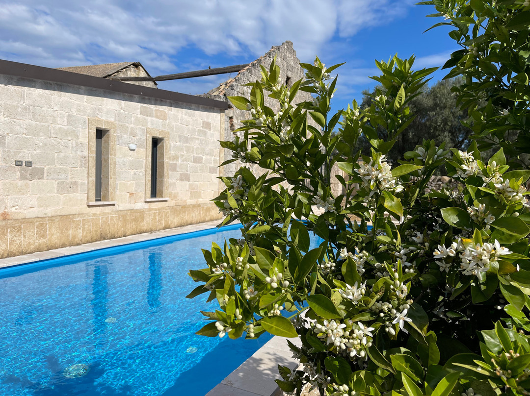 Masseria Antoglia景点图片