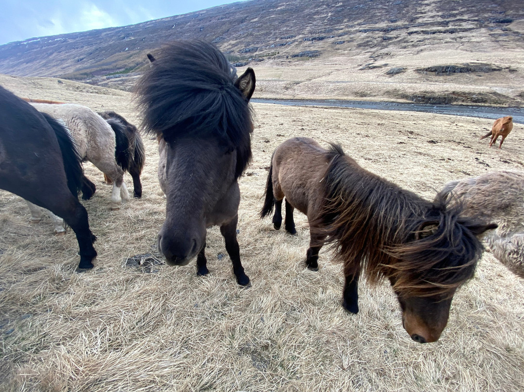 Wilderness Center-埃伊尔斯塔济必去景点