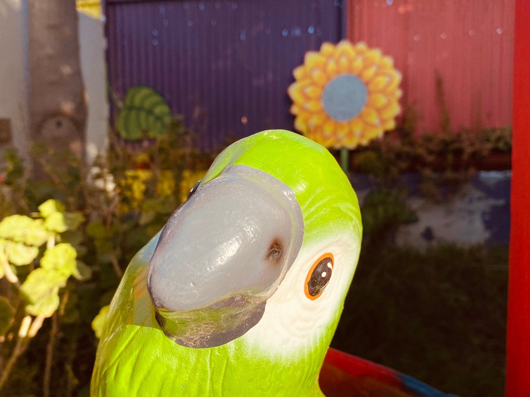 Cactus Country-Strathmerton必去景点