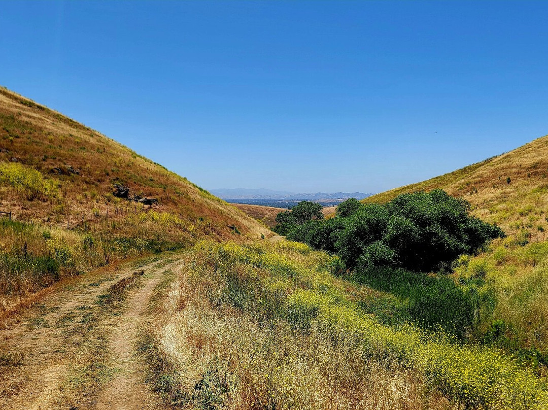 Brushy Peak Regional Preserve-利佛摩必去景点