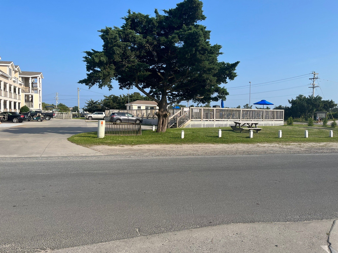 Pony Island Inn主图