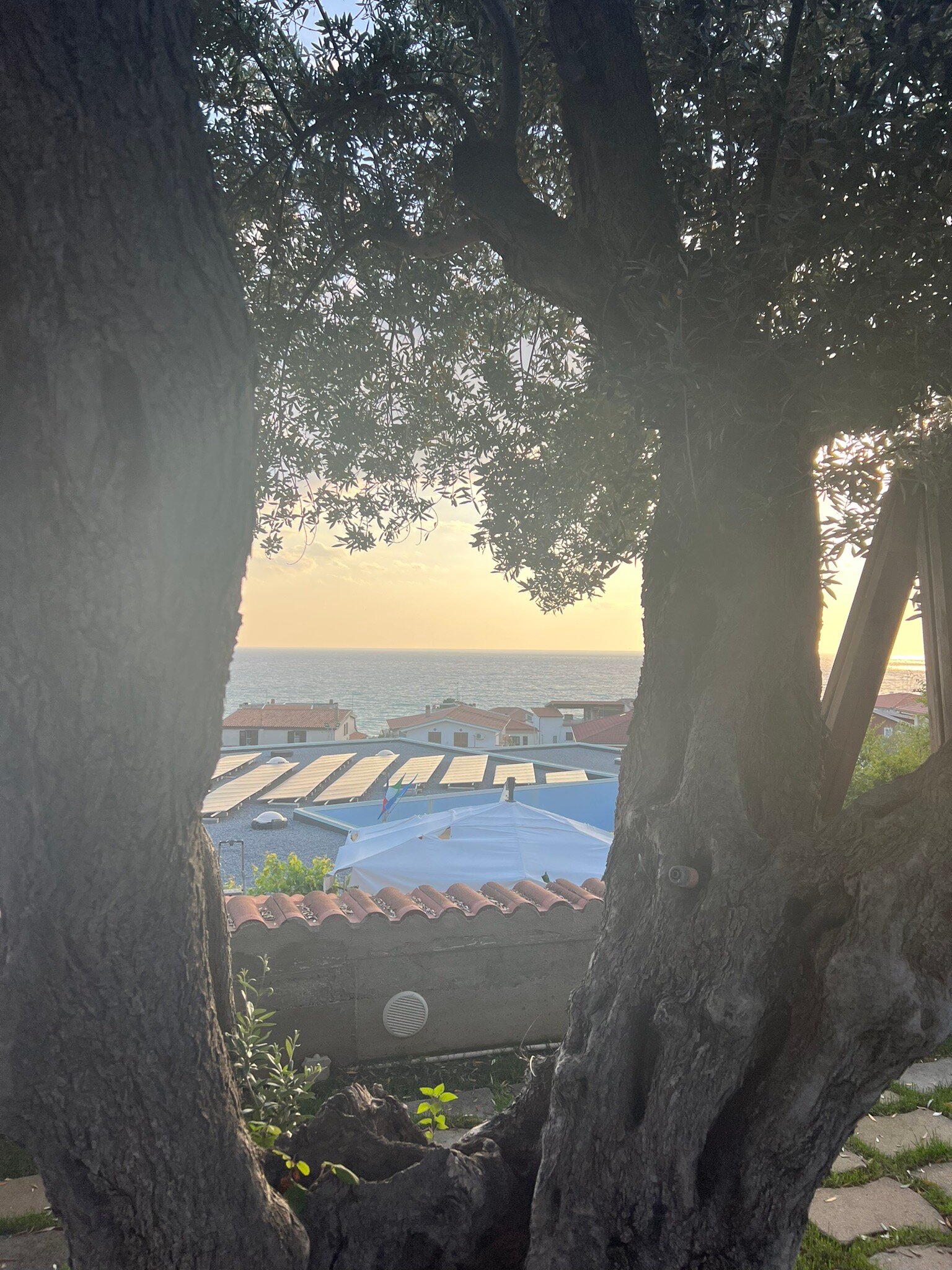 B&B Villa Betta-官方