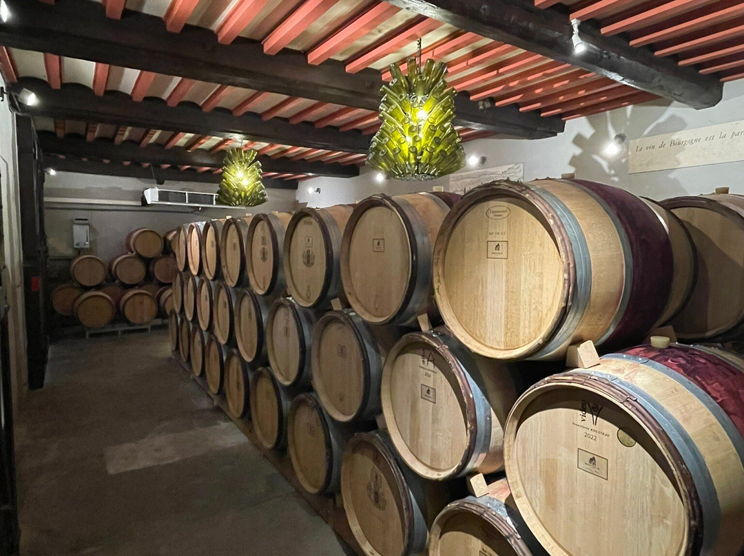 Château Corton C.景点图片