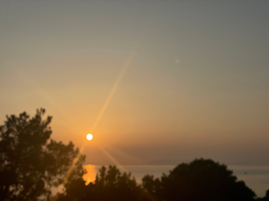 奥特弗布鲁卡普西斯埃利特度假酒店主图