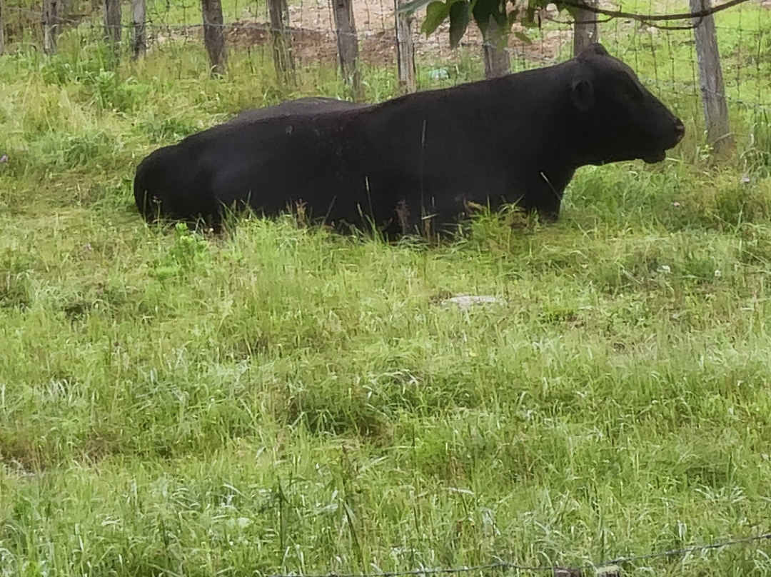 The Farmstand B & B主图