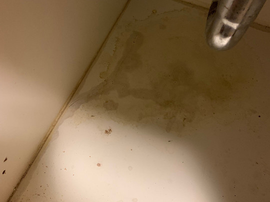 Best Western Plus Peoria主图