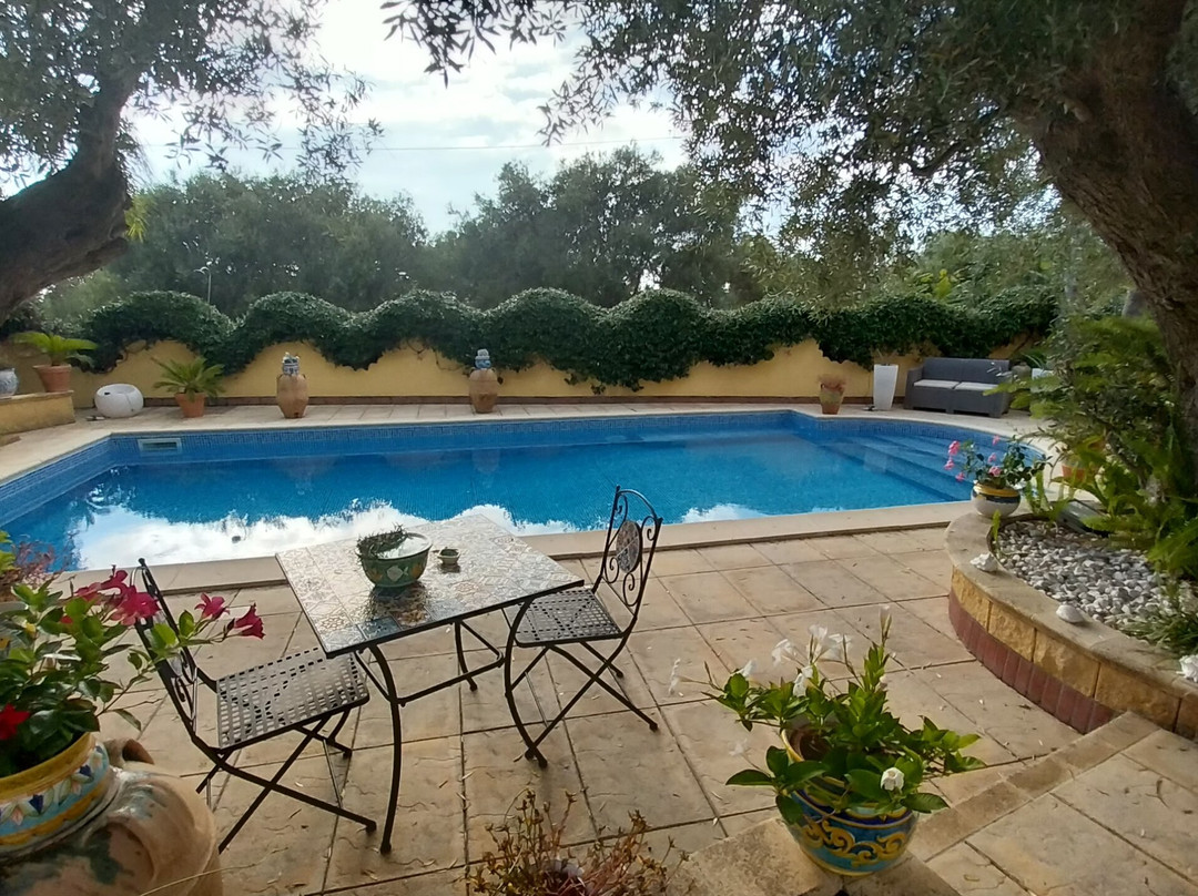 Villa Degli Ulivi B&B