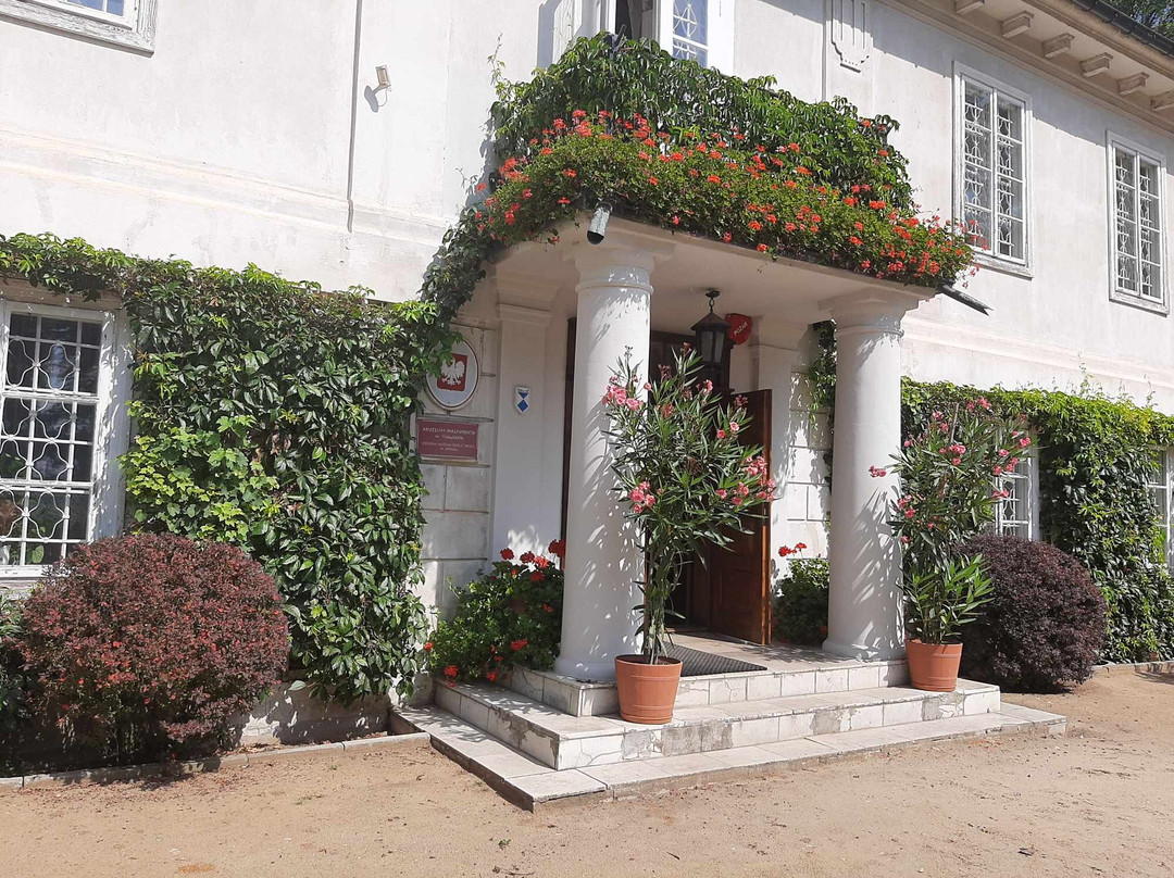 Walewski Museum in Tubadzin景点图片