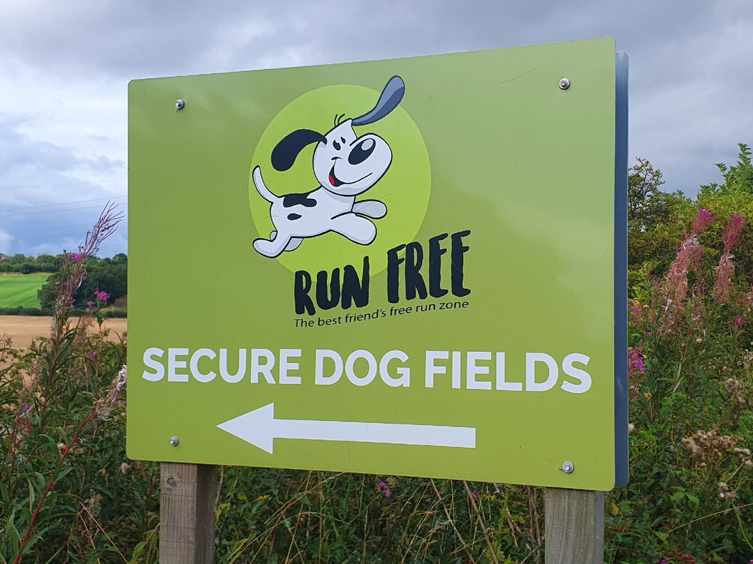Run Free Dog Fields景点图片
