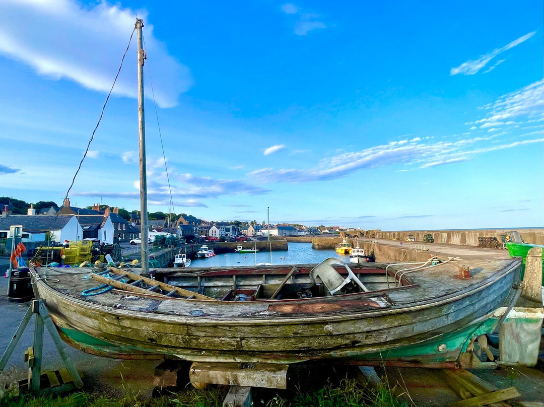 Johnshaven Harbour景点图片