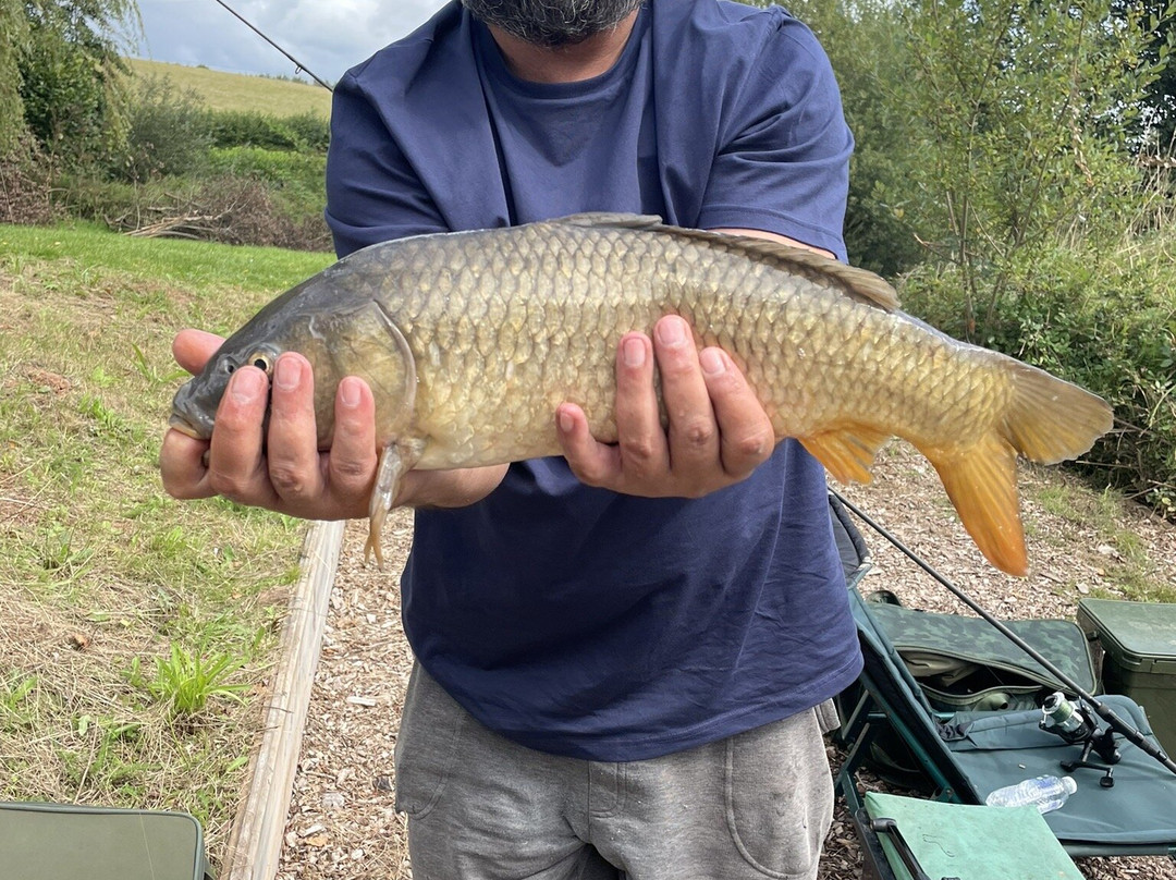 Luccombes Coarse Fishery-Exminster必去景点