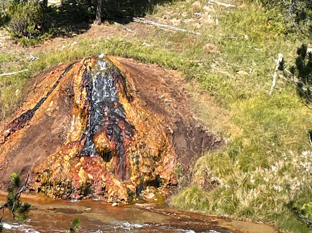 Wild Things of Wyoming-提顿村必去景点