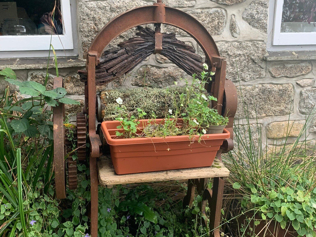 Tregeraint House主图