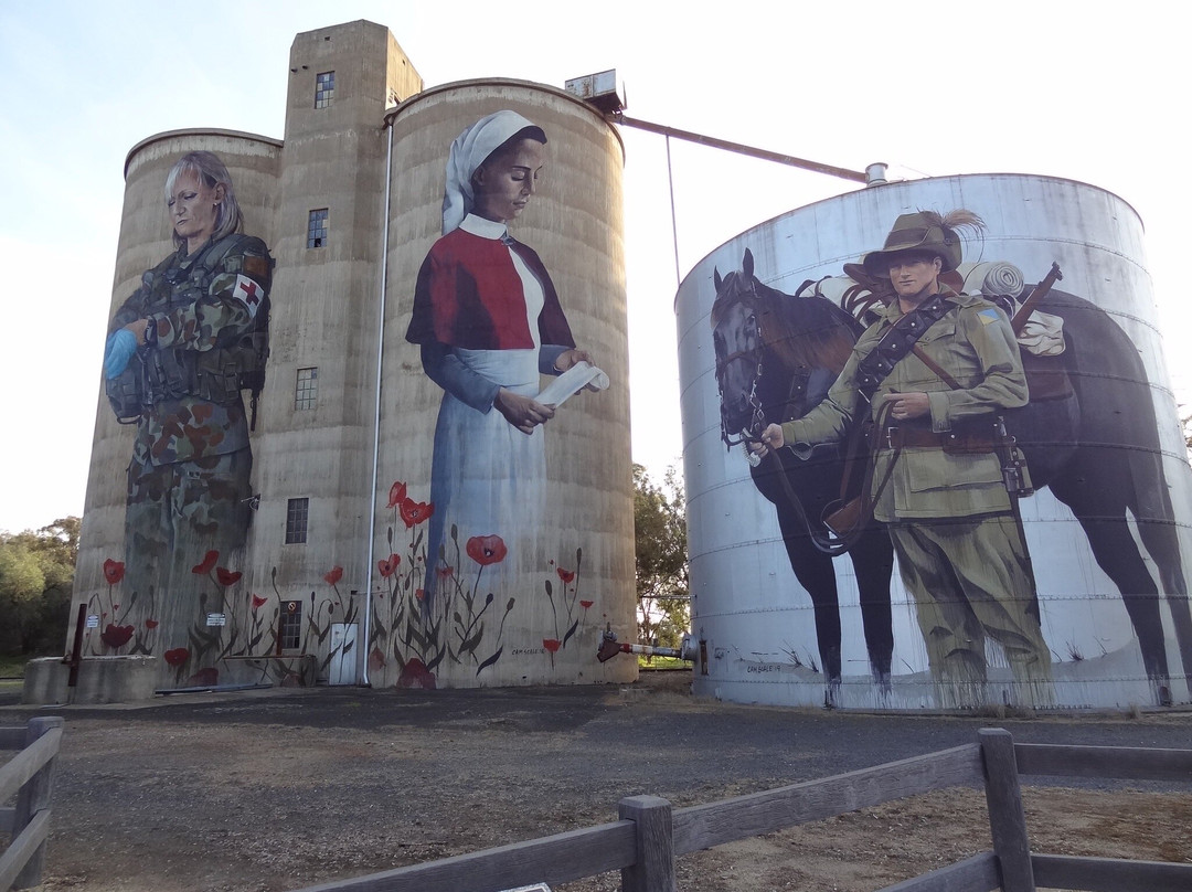 Devenish Silo Art景点图片