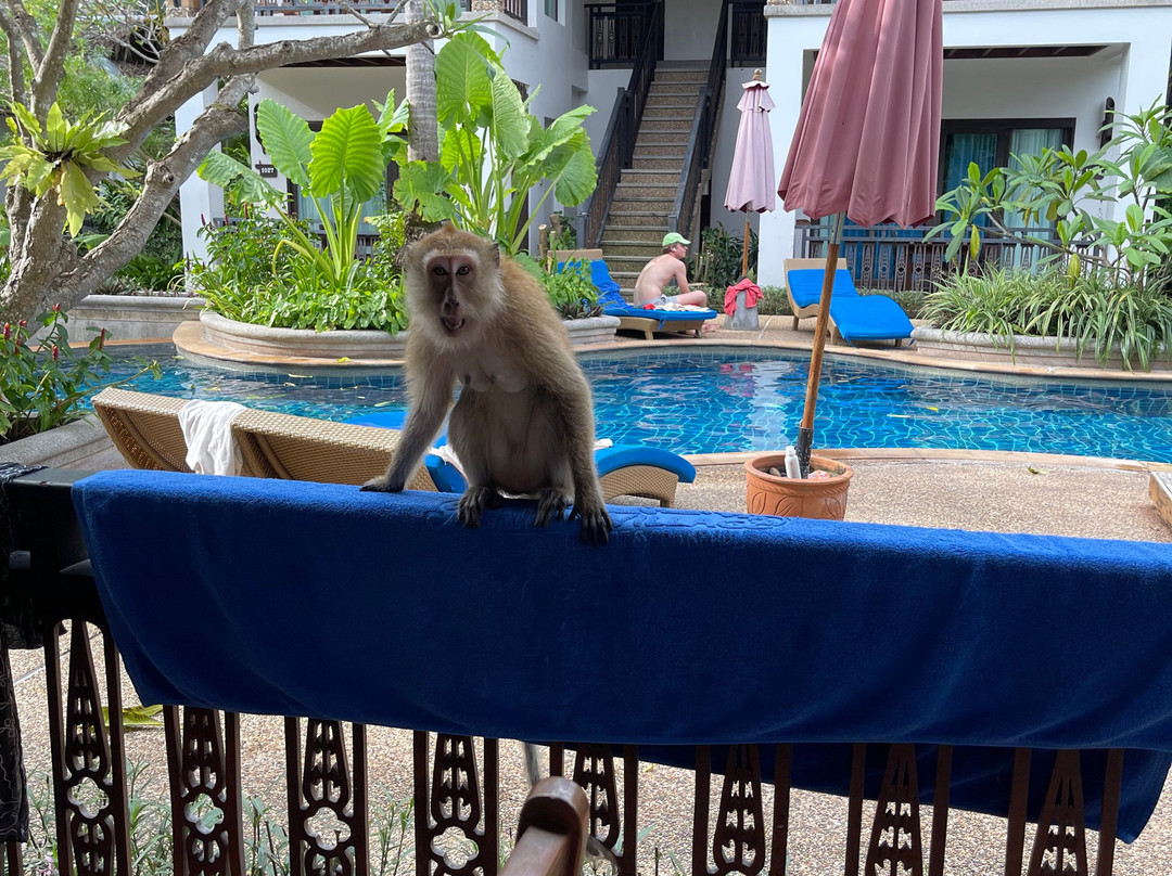 莱利乡村度假村主图