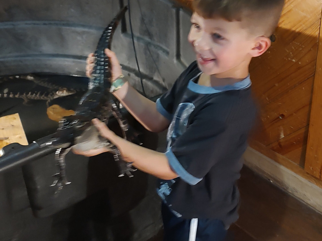 Gator Country-博蒙特必去景点