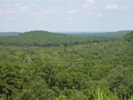 New York Texas Zipline Adventures-Larue必去景点