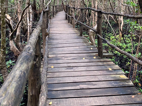 LD Tours & Safaris-桑给巴尔市必去景点