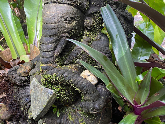 Prema Shanti Yoga & Meditation Retreat主图