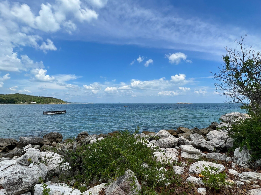 稔马镭迪酒店主图