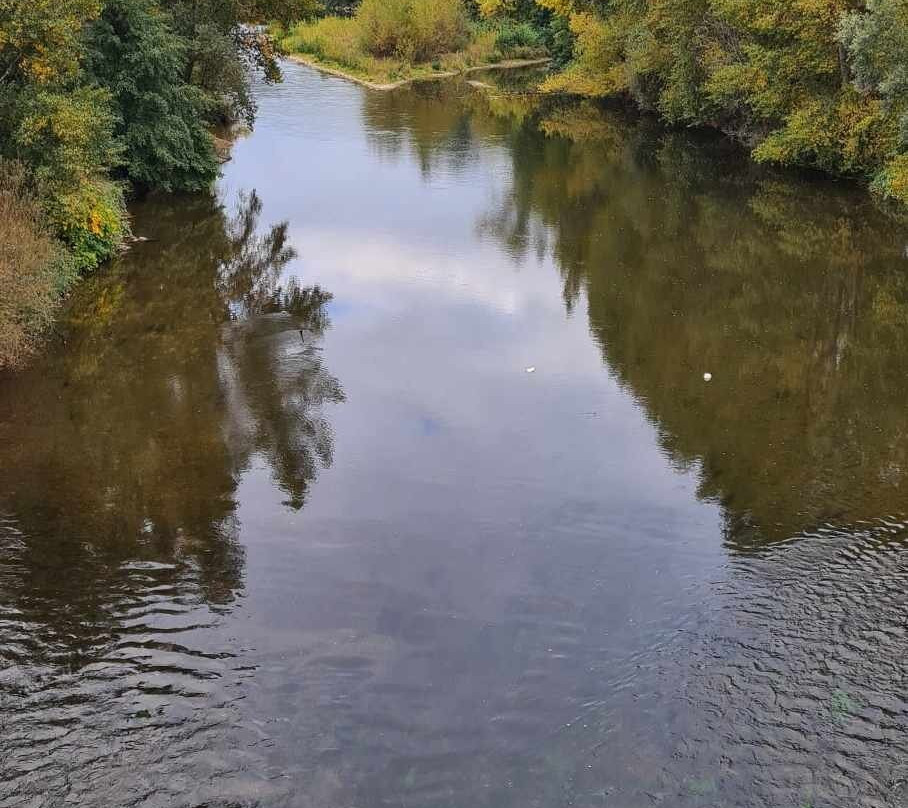 Hotel de l'Ile主图