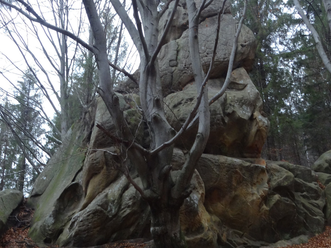 State Historical and Cultural Reserve Tustan-Urych必去景点