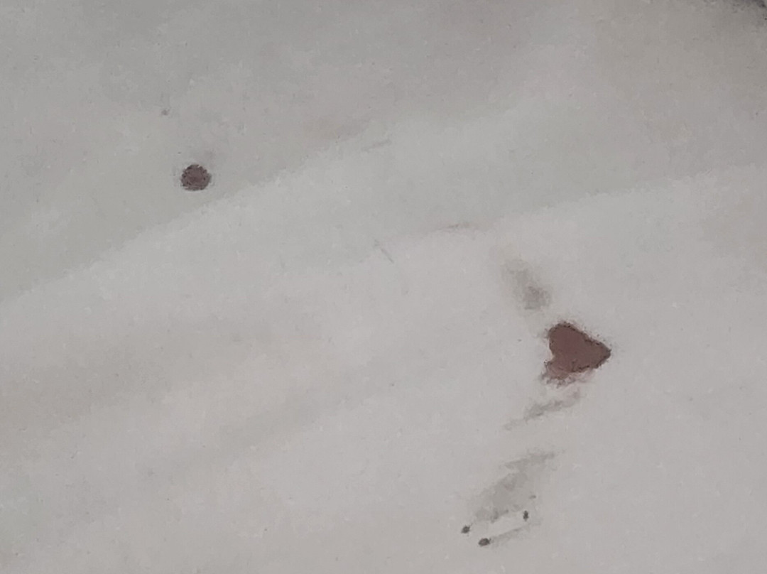 Fairfield by Marriott Inn & Suites Cookeville主图