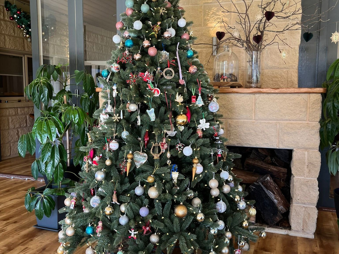 Tallawarra Homestead主图