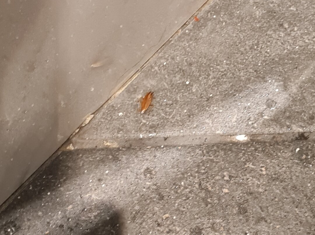 皇家广场酒店主图