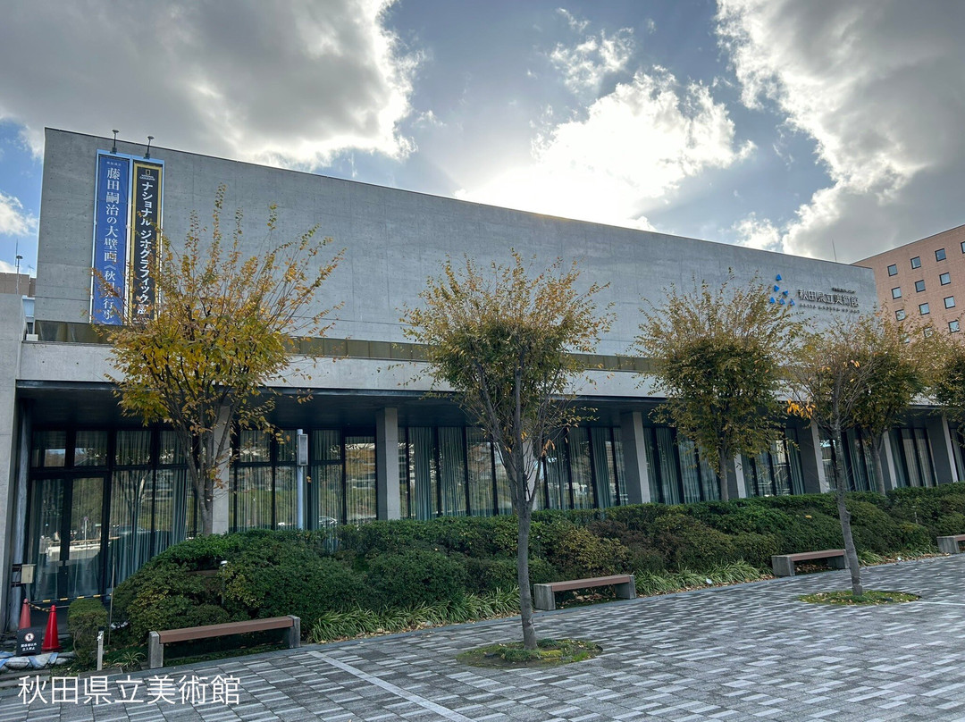 秋田县立美术馆景点图片