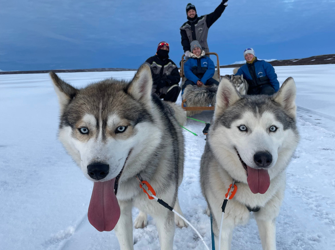 Snow Dogs-米湖必去景点