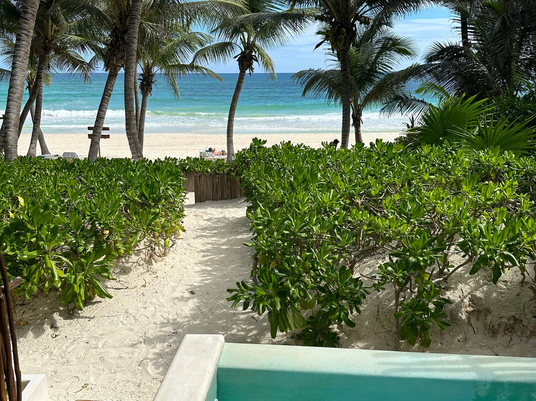 图卢姆小屋主图