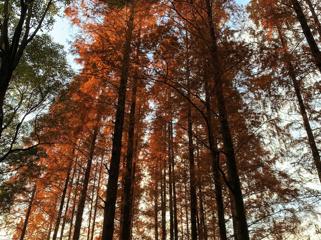 亭林园-昆山市必去景点