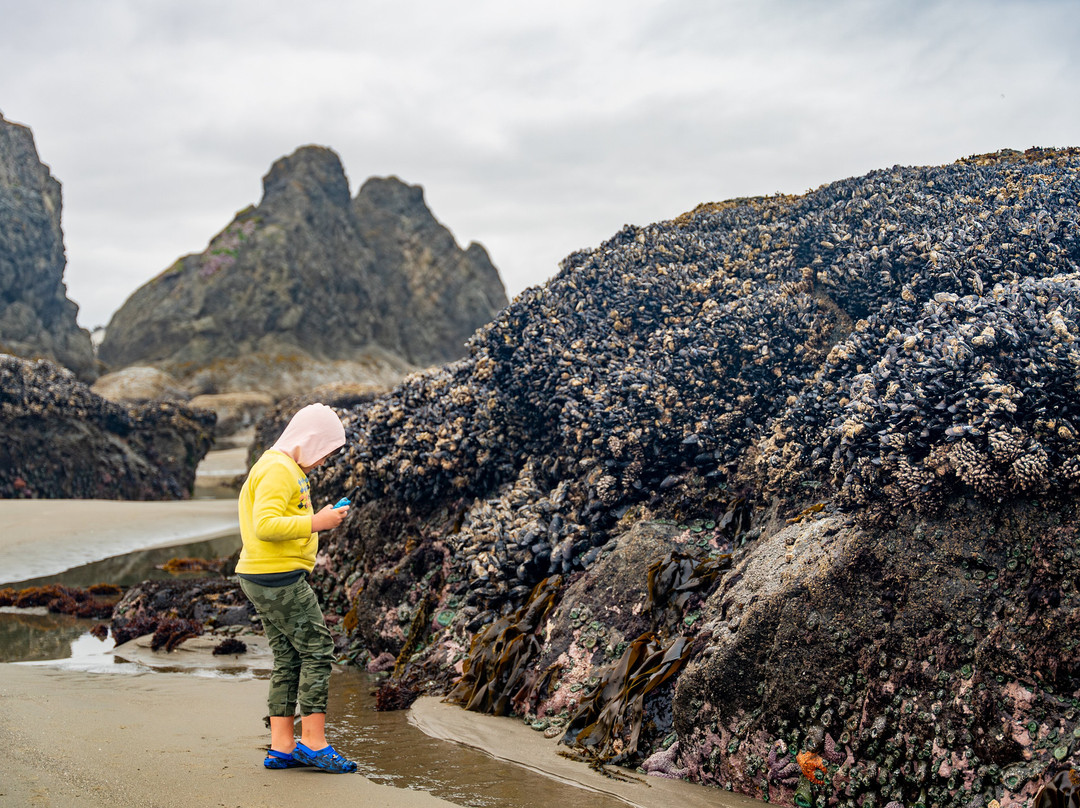 Bandon State Park-班登必去景点