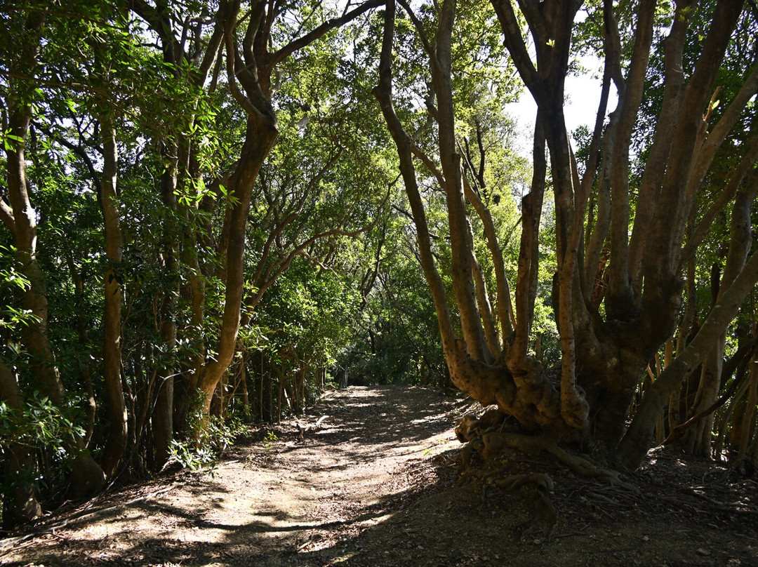 Minami Awa Sun Line-美波町必去景点