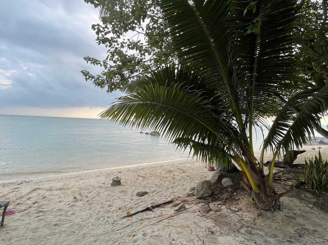 卡马拉雅酒店主图