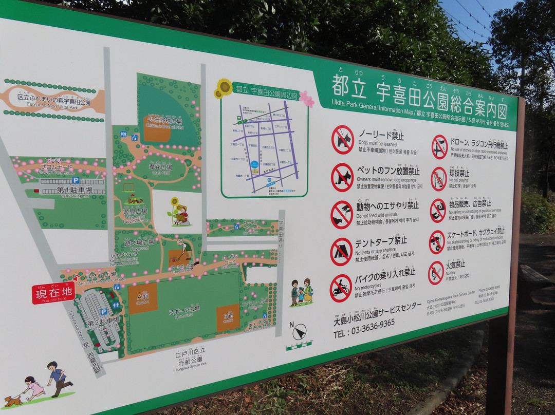 Ukita Park-江戸川区必去景点
