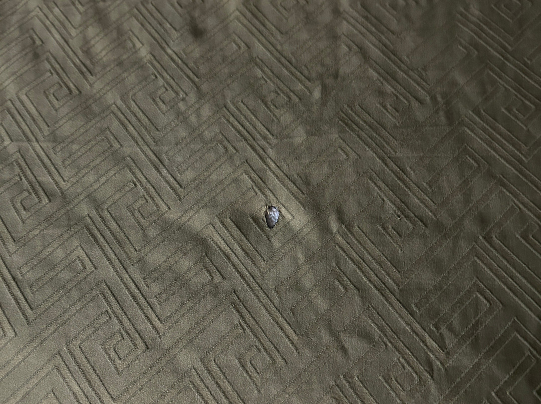 Econo Lodge Inn & Suites Chickamauga Battlefield主图