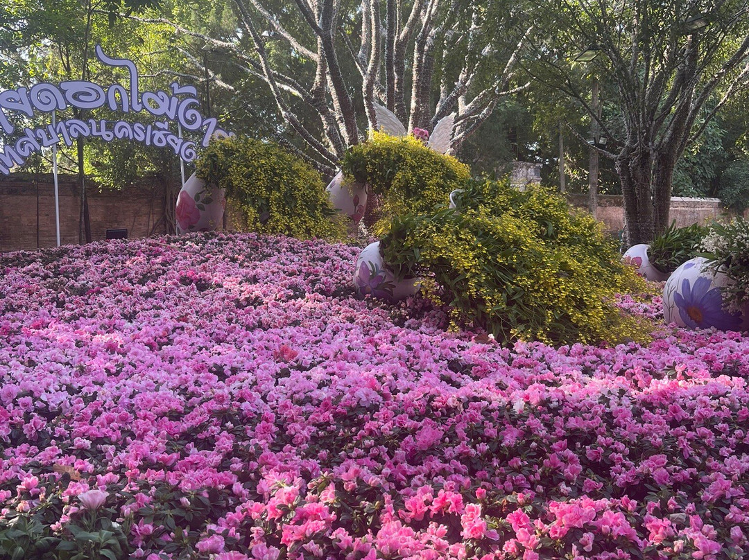 75 Anniversary Flag And Lamp Park-维昂必去景点