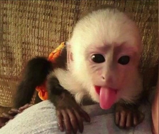 Bandera Natural History Museum-Bandera必去景点