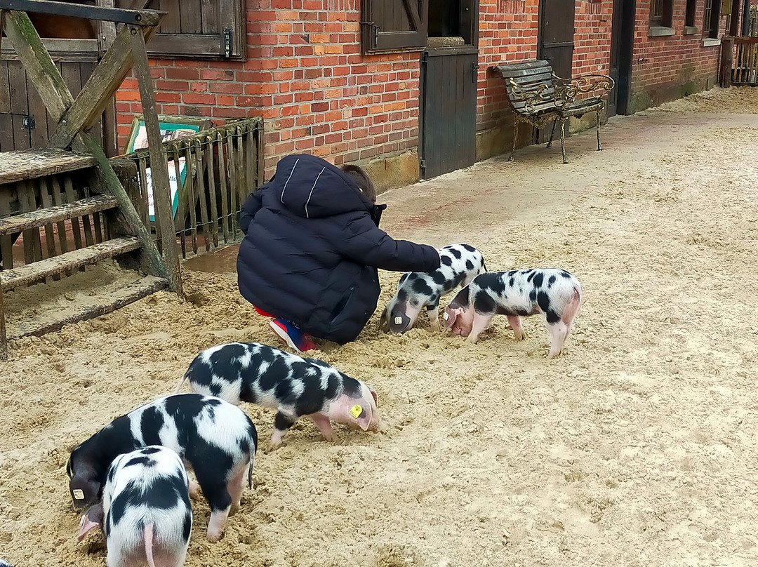 Tierpark Nordhorn景点图片
