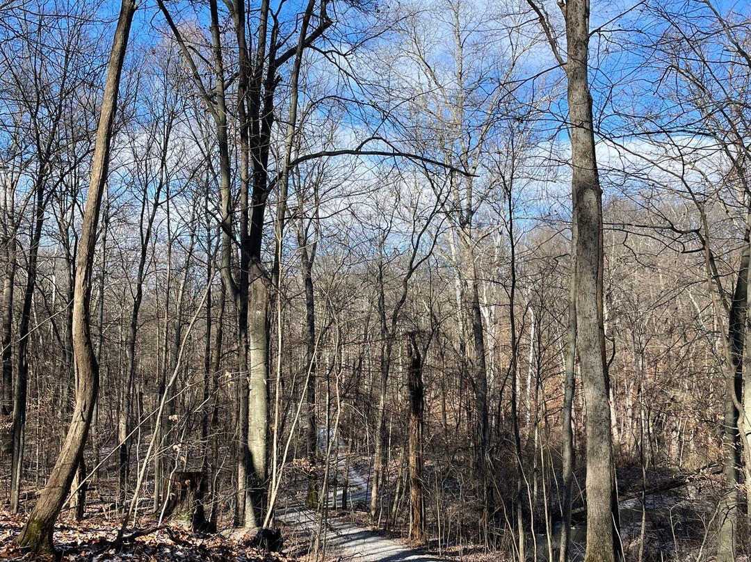 Slate Run Living Historical Farm-Canal Winchester必去景点